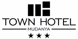 Logo Footer